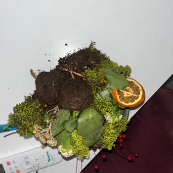 Devrilen Ve Hasarlı Saksı Çiçeği İçin Ücret İadesi Talebi