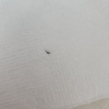 Yunus Market Şubesinde Ekmeğe Karışan Metal Parçası Ciddi Sağlık Riski