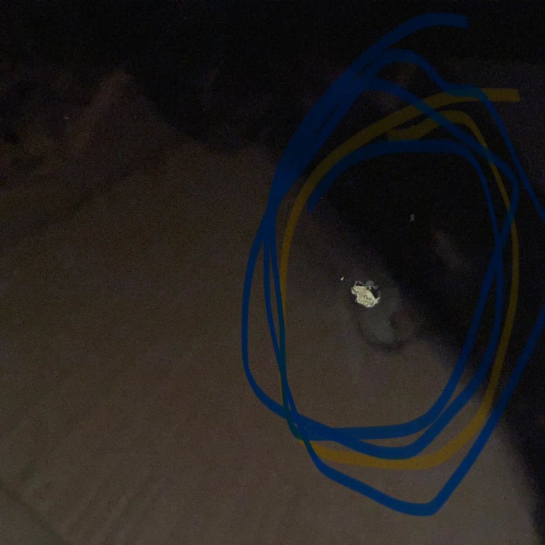 Garanti Kapsamındaki Televizyon İçin Ücretsiz Yerinde İnceleme Talebim Reddedildi