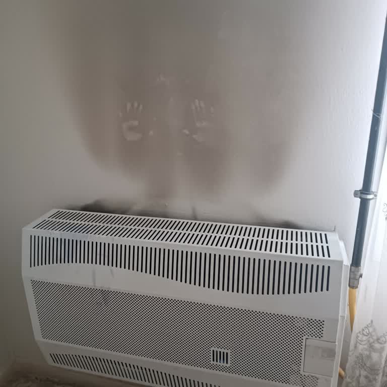 Hoşseven Isı Yalıtım Evimin Duvarlarının Karardığını Fark Ettim