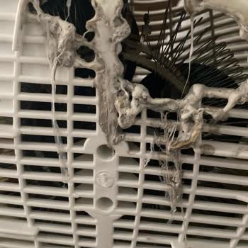 Kiwi Home Kullanırken Kendi Kendine Alev Alan Bir Isıtıcı