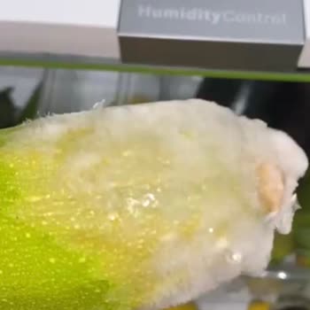 Bosch Buzdolabının Sürekli Aşırı Dondurması Ve Çözüm Bulamayan Servis