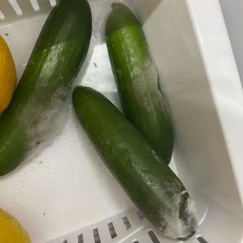 Bosch Buzdolabının Sürekli Aşırı Dondurması Ve Çözüm Bulamayan Servis