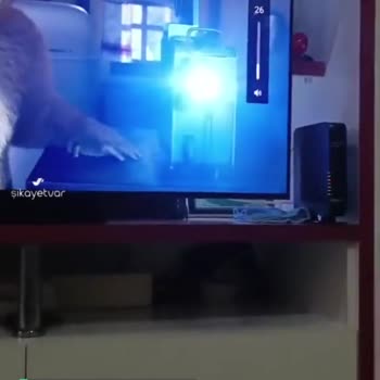 TCL 55C7K TV Ses Problemi