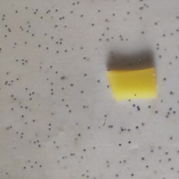 Filiz Makarnasında Kocaman Plastik Parça Çıktı, Sağlık Ve Güven Endişesi