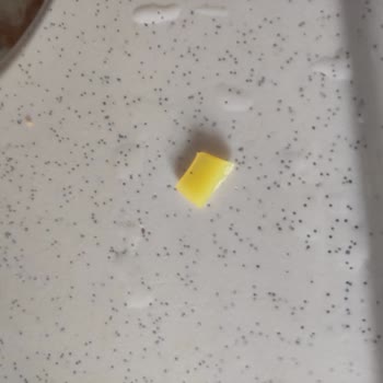 Filiz Makarnasında Kocaman Plastik Parça Çıktı, Sağlık Ve Güven Endişesi