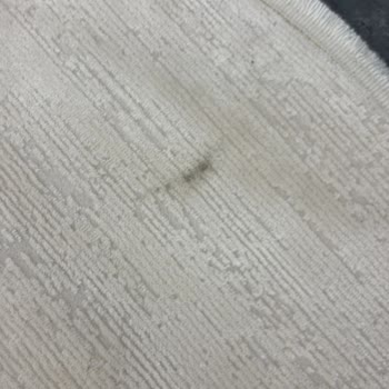 Azra Halı Koltuk Yıkama’da Hijyen Ve Koku Sorunları Nedeniyle Ücret İadesi Talebi