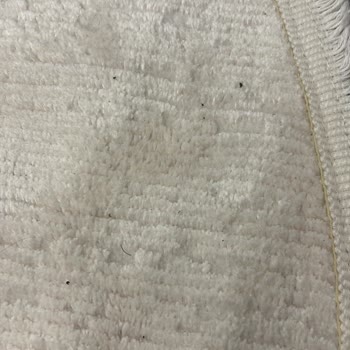 Azra Halı Koltuk Yıkama’da Hijyen Ve Koku Sorunları Nedeniyle Ücret İadesi Talebi