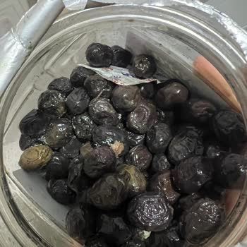 Fora Markalı Zeytinde Küflü Ve Kötü Koku Sağlık Riskine Yol Açıyor