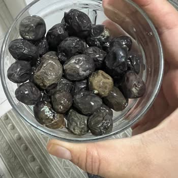 Fora Markalı Zeytinde Küflü Ve Kötü Koku Sağlık Riskine Yol Açıyor