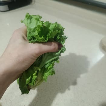 Marulun Kalitesizliği Ve Hindinin Son Kullanma Tarihi Nedeniyle İade Talebi