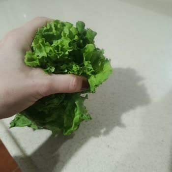 Marulun Kalitesizliği Ve Hindinin Son Kullanma Tarihi Nedeniyle İade Talebi