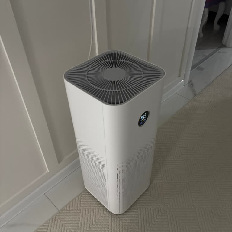 Xiaomi Pro 4 Hava Temizleyicisinde Sürekli Balık Kokusu Ve Filtre Değişimi Ya Da Ürün Değişikliği Talebi