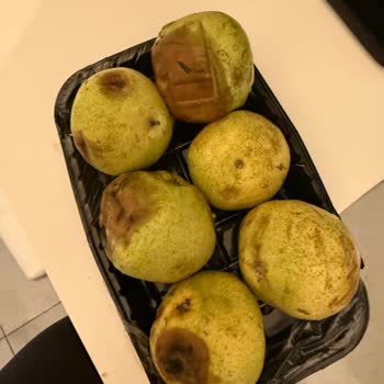 Paketli Armutta Çürük Ürün Ve Kontrol İhmali