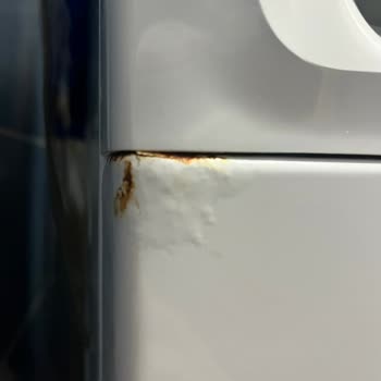 Profilo Çamaşır Makinesinde Kısa Sürede Paslanma Ve Boya Soyulması Şikayeti