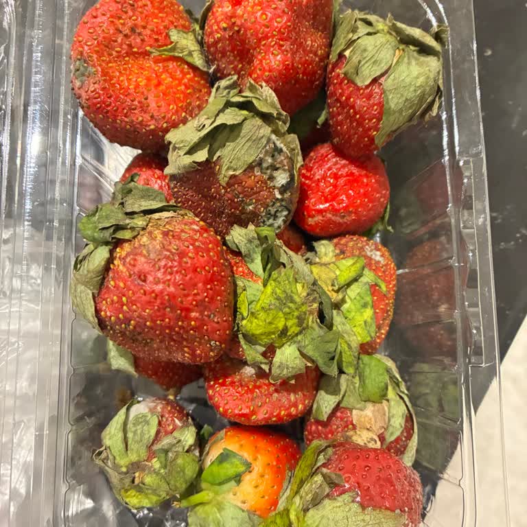 Groseri Yenişehir Şubesinden Çürük Çilek Teslimatı Kabul Edilemez