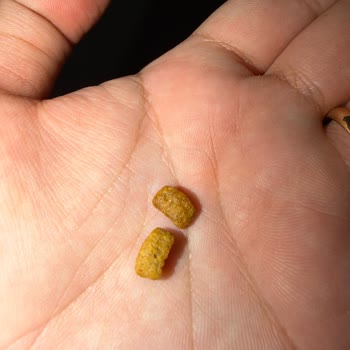 Sahte Pet Maması Satışı Ve İade Talebi