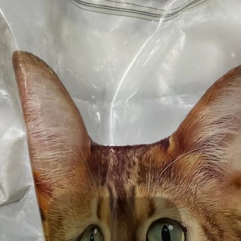 Sahte Pet Maması Satışı Ve İade Talebi