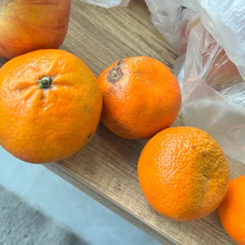 Çürük Elma Ve Mandalinalar Ücret İadesi Geri Dönüş Yok