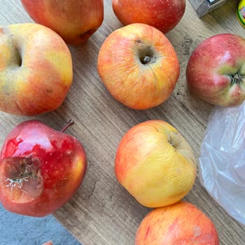 Çürük Elma Ve Mandalinalar Ücret İadesi Geri Dönüş Yok