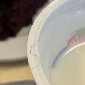 Yörükoğlu Büyük Boy Ayran Ambalajında Kıl Sorunu