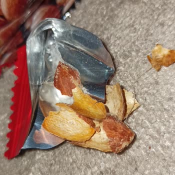 Altıntop Tuzlu Yer Fıstığında Örümcek Ağı Ve Çürük Ürün Şoku