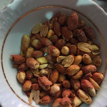 Altıntop Tuzlu Yer Fıstığında Örümcek Ağı Ve Çürük Ürün Şoku