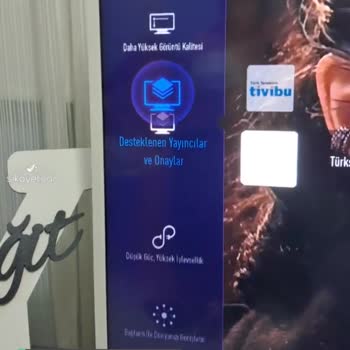 Beko Ekran Arızası