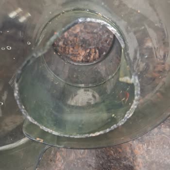 BİM Kiwi Sıkacağı Üç Kullanımda Çöktü