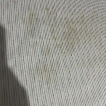 Ütü, İki Kullanımda Kahverengi Lekeler Bıraktı Ve Servis Sorunu Görmezden Geldi