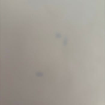 Xiaomi Mi Shop Mağaza Şikayeti