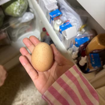 Çağdaş Marketler Ürün Fişte Large Olarak Görünmesine Rağmen XS Çıktı!