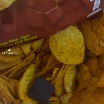 Patos Cipsinden Çıkan Yabancı Maddeler