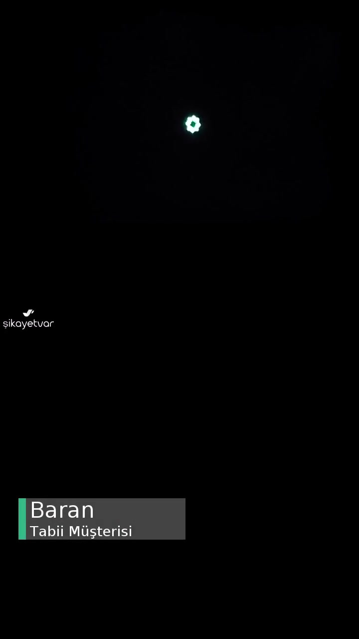 Tabii Yayın Kesilmesi videonun kapak resmi