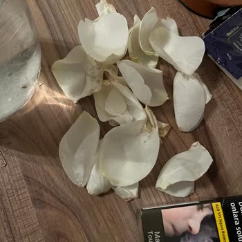 İlan Görseliyle Uyuşmayan Solmuş Çiçek Buketi İçin Tam İade Talebi