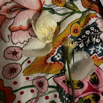 İlan Görseliyle Uyuşmayan Solmuş Çiçek Buketi İçin Tam İade Talebi