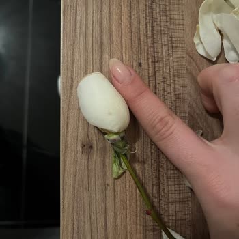 İlan Görseliyle Uyuşmayan Solmuş Çiçek Buketi İçin Tam İade Talebi