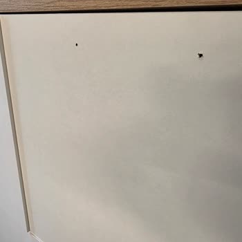 Ciddi Gecikme Ve Eksik Hasarlı Dolap İçin Hemen Değişim Ve Ücret İadesi Talebi