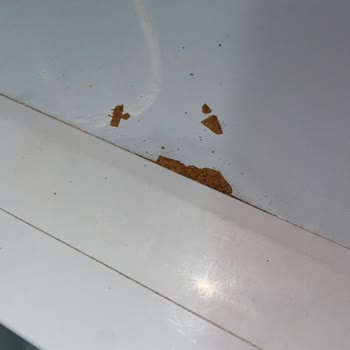 Beko C9101 Çamaşır Makinesinde Kapak Şişmesi Ve Yıkama Performansının Düşüklüğü