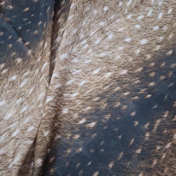 Organic Scarfs Yanıltıcı Fotoğraf ve Yanıltıcı Ürün Gönderimi, İade Talebine Cevap Yok