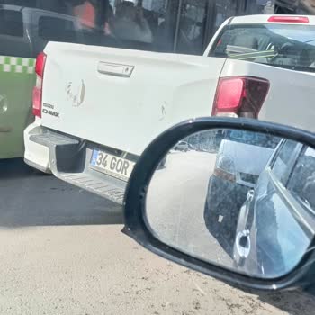 Adana Sokak Köpeklerinin Şeffaf Olmayan Toplanması Ve Barınak Koşullarının İyileştirilmesi Talebi