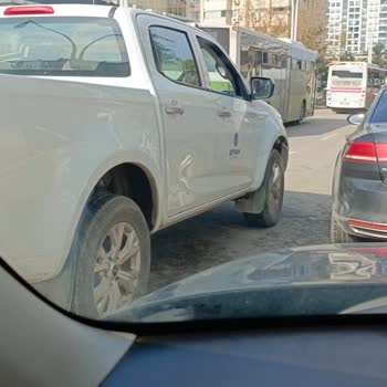 Adana Sokak Köpeklerinin Şeffaf Olmayan Toplanması Ve Barınak Koşullarının İyileştirilmesi Talebi