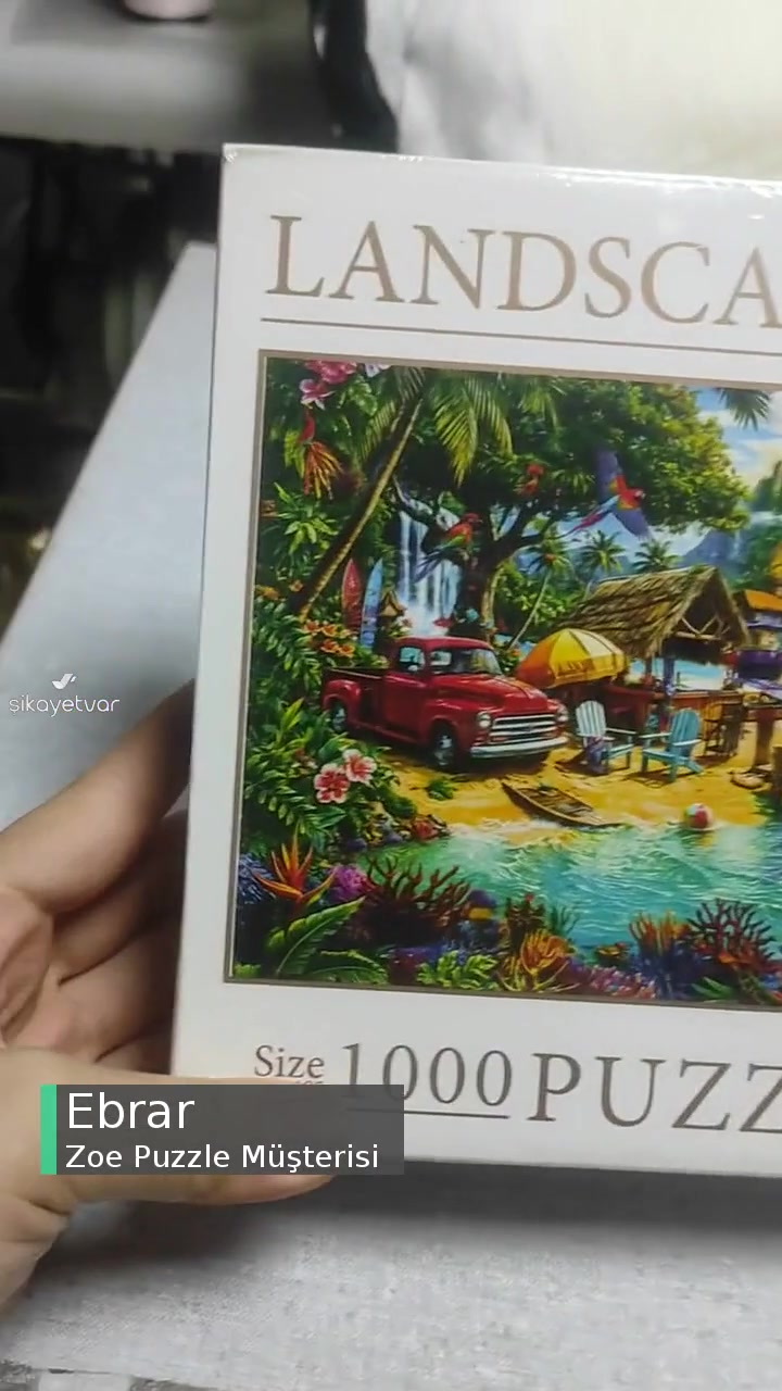 Zoe Puzzle İçinden Kıl Çıktı videonun kapak resmi