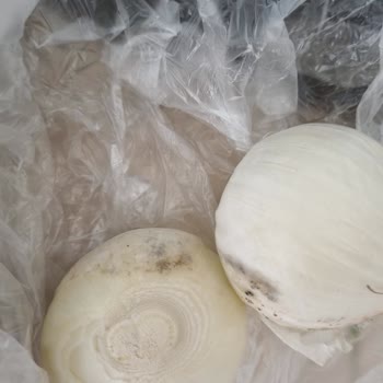 Trendyol Hızlı Market'te Bozuk Ve Çürük Ürünler İçin İade Talebi Çözülmedi