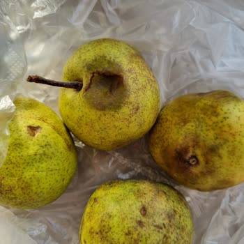 Trendyol Hızlı Market'te Bozuk Ve Çürük Ürünler İçin İade Talebi Çözülmedi