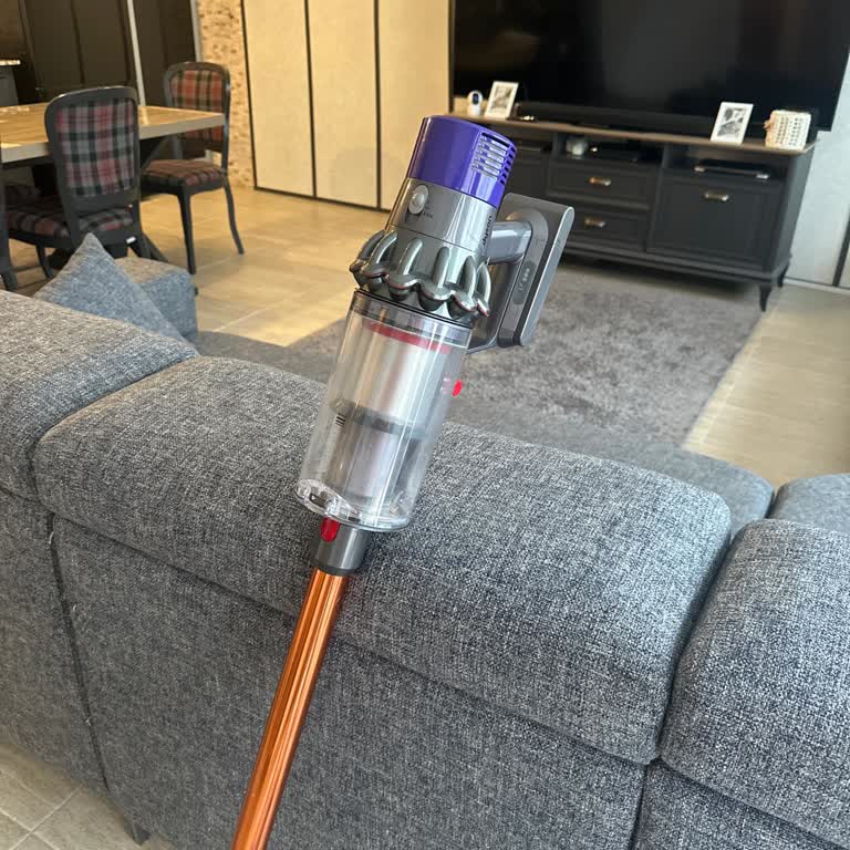 Dyson V11'de Kötü Koku Ve Zayıf Çekim Ücretli Filtre Değişimi Talebi