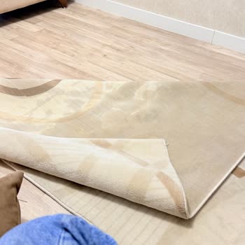 Arızalı Bissell Buharlı Halı Koltuk Yıkama Makinesi İadesi Reddedildi, 30 Bin TL Geri Ödeme Talebi