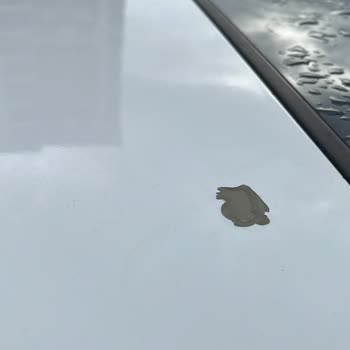 Honda Yetkili Servisi Boya Sorununu Çözmedi