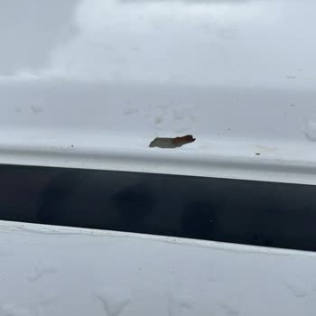 Honda Yetkili Servisi Boya Sorununu Çözmedi