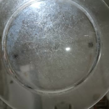 Vestel Bulaşık Makinesindeki Çizik Yıkama Ve Kireç Sorunları İçin Değişim Talebi